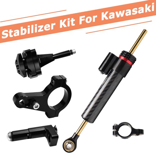 Stabilizzatore ammortizzatore